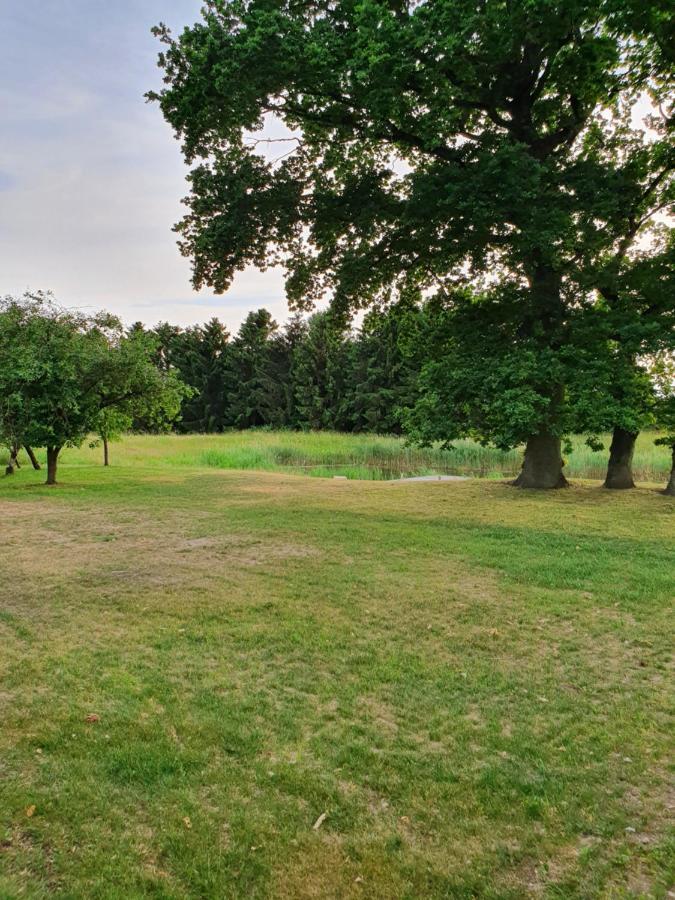 Sorø Lillevang Bed & Breakfast المظهر الخارجي الصورة
